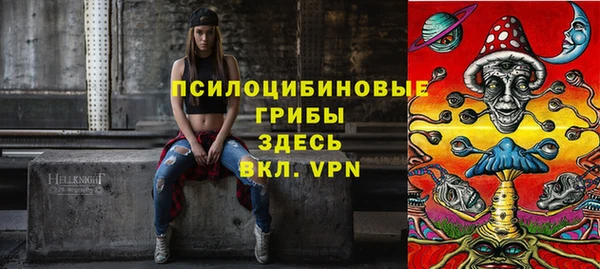 ГАЛЛЮЦИНОГЕННЫЕ ГРИБЫ Сосновка